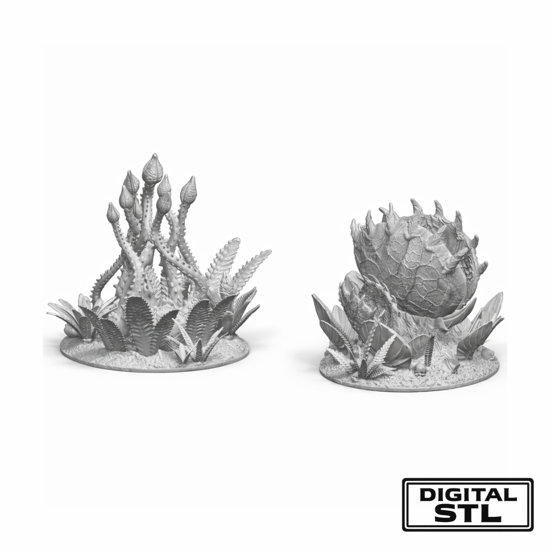 King of the Colosseum: Jungle Traps & Treasures - STL